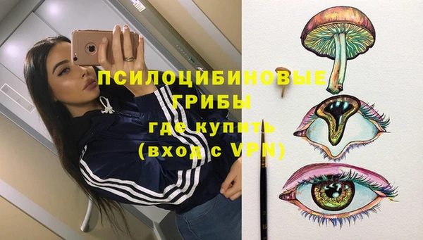 гашик Краснотурьинск