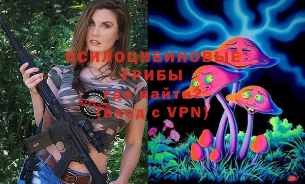 гашик Краснотурьинск
