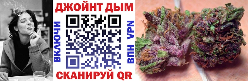 Бошки Шишки план  мега зеркало  Мариинский Посад 